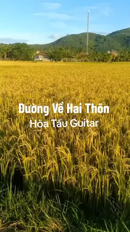 đường về thôn anh con sáo ru êm êm trên đồng xanh lúa.. 🎸 #nhachoatauguitar #nhactrutinh #duongvehaithon #mientayquetoi #xuhuongtiktok 