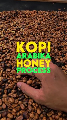 Kopi Arabika Gayo Honey Process. Himawari Roastery from Takengon Aceh Tengah. . #kopigayo #kopiaceh #kopimadu #coffeetiktok #coffee #coffeeaddict #espresso #kopiviral #kopi #v60 