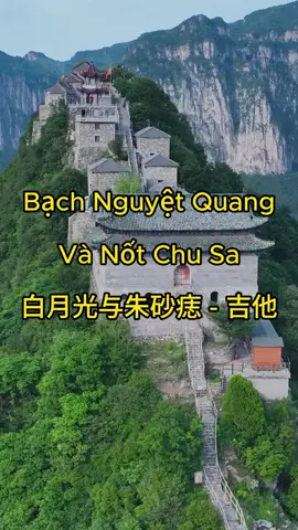 Bạch Nguyệt Quang Và Nốt Chu Sa ( 白月光与朱砂痣 - 吉他)-Guitar Solo  #nhackhongloiguitar #nhackhongloi #chill #guitar #romantic #bachnguyetquangvanotchusa #canhdep