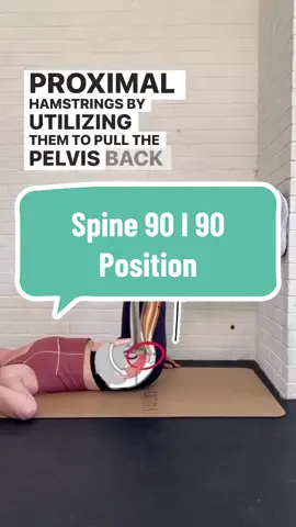 The Supine 90/90 position is great for sensing our proximal hamstrings… But if you have overstretched and checked out hamstrings, you’re going to try to recruit your abs to do the work instead😬 🔑 Work on relaxing your belly and sliding your heels down the wall when in this position. This will help to get your hamstrings back in the game! Which is crucial because… our hamstrings are a respiratory muscle! 🫁 Drop a ❤️ if you feel the positive vibes! 🙌 🎥 Via: dr.lauren.shelton Credit to respectful owner.  This is not medical advice This post doesn’t belong to this page, it has been shared for the purpose of spreading value. This page doesn’t make a profit out of this content. If the content OWNER (visual/audio) of this post has any issue, we ask you to send us a direct message and we will remove the post. 