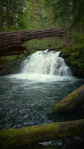 One of my favorite little waterfalls 😍 #waterfall #forest #scenery #Outdoors #djiglobal #godislove #natureismytherapy #oregonisbeautiful #pnwroaming