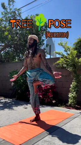 🌳 ✨  #TreePose#Yoga#Yogi#Vrikshasana#yogapractice#yogapose#yogadaily#yogalifestyle#yogachallenge#yogalove#yogaeveryday#yogateacher#yogamotivation#yogafit#yogainspiration#yogajourney#yogainstructor#grounded#yogatiktok#yogatiktoker#wellness#meditation#breath#selflove#healing#treepose#stretch#grounding#treeposemeditation