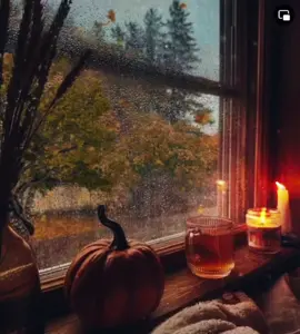 #afghanistan #afghanistan🇦🇫 #kabul #تاجک__اوزبگ__پشتون__هزاره__ترکمن #afghangirl #afghantiktok #ahmadzahir #farhaddarya 