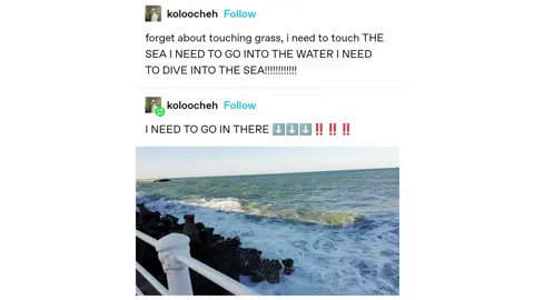Forget about touching grass #fyp #foryou #voiceovers #finalzephyr #meme #memes #tumblr #tumblrpost #tumblrposts #touchgrass #voiceactor #voiceacting