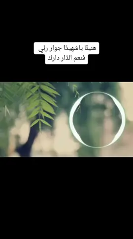 حباك الله في الفردوس دارًا ❤️‍🩹 نشيد خولان الصنعاني 