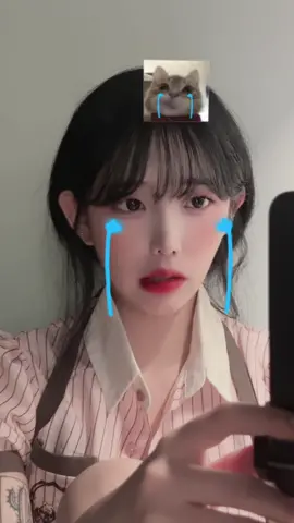 뭐야 왜 다 똑같이 억울해 보여