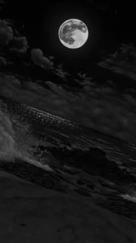 ناسيني والليل طويل ولا فيني من بعدك حيل🥺 #فهد_القصير_و_حنين_القصير #جارحني_وبعدي_بهواك #تصميم_فيديوهات🎶🎤🎬 #اكسبلورexplore #foryou #fypシ゚viral🖤tiktok☆♡🦋myvideo #يسعدلي__اوقاتڪۘم #المانيا_تركيا_سوريا_لبنان_العراق 