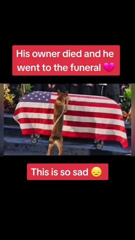 🙏  #welcomehomesoldier #tammiolibackup #longervideos #thankyouforyourservice #tammioli 