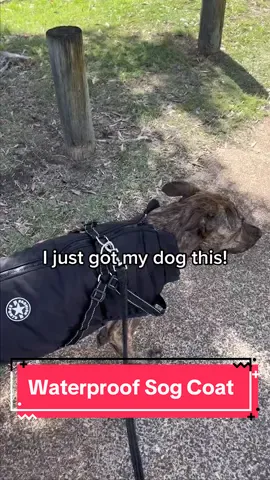 We love making puppies feel safe and secure with our warm Waterproof Doggy Coat! 😍🐾🐶  #petlove #happypets #furbaby #puppy #kitten #dog #cat #pet #fyp #SmallBusiness 