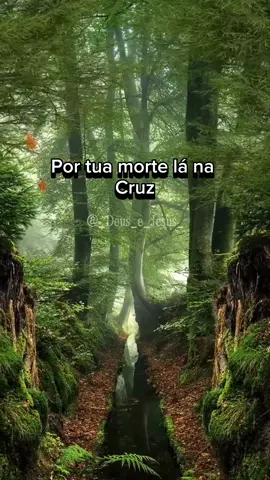 Adorarei 🎶 | Fabiana Anastácio 🤍 . . . . . . . . . . #Deus #Jesus #Fé #cristaos #cristaosnotiktok #louvor #fabianaanastacio #adorarei  #fypシ #foryou #viral #CapCut 