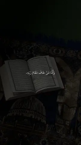 تدبروا الأيات🤍#قران #ماهر_المعيقلي #قران_صلي_علي_النبي 