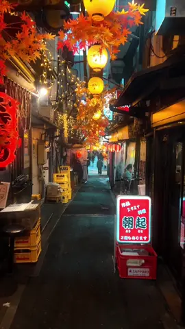 Night walks through the back lanes of Shinjuku Tokyo 🇯🇵  📍 Omoide Yokocho, Shinjuku, Tokyo, Japan  #tokyo #shinjuku #japan #traveltok #night #nightwalks #traveltiktok #cinematicvideo 