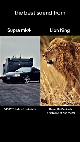mk4 exhaust vs lion growl