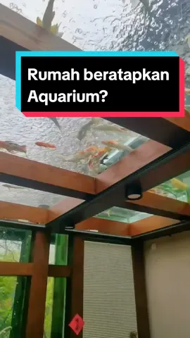 Antara bagus apa serem nih kalau rumah atap aquarium? #rumahminimalis #arsitekrumah #aquarium #rumahkolam #desainrumah 