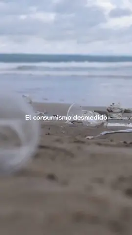 En un mundo cada vez más preocupado por el medio ambiente y la sostenibilidad, el consumo consciente se ha convertido en una necesidad imperante ♻️ #reciclaje #consumoconsciente #cuidaelmedioambiente🌎 