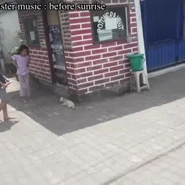 Cat Rescue #catrescue #catrescuer #cat #catsoftiktok #gooddeed  #catrescueroftiktok #catlove