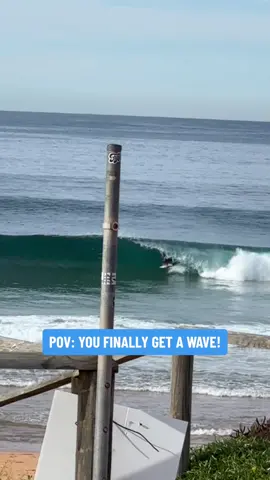 The Shark preys on young blue fin! 🦈 #goprosurf #surfedit #povsurfing #surftok #surfporn 
