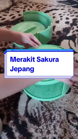 Merakit Tudung Saji Sakura Jepang tanpa ring.Selamat mencoba😊#tudungsajisusun #tudungsajisakura #tudungsaji4susunrakit 