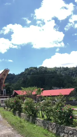 #fyp #torajanese #tanatorajasulsel #kurra 