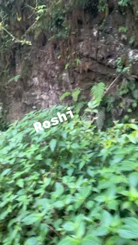 #really more and much fun in roshi panchakanya jharna in summer#dont miss to reach.#kavre#bhumidanda roshi#tiktok #video #ningma #👑👑 #❤️❤️❤️ @ningmalama👑 