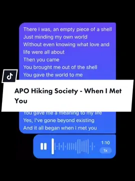 #fyp #apohikingsociety #justinevasquez #whenimetyou #VoiceEffects #shortcover #voicemessage #acapella 