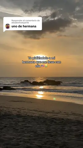Respuesta a @elizabethalejan16 #llevamecontigo #romeosantos #hermana #usa 