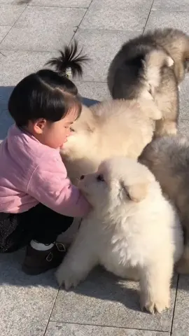 phải yêu thương nhau 🥰🥰🥰 #xuhuong #funnyvideo #viralvideo #trend #dog #cutedog #dogsoftiktok #💗💗💗 #😄😄😄 