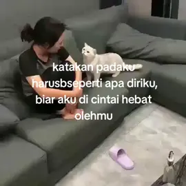 #xyzbca #galaubrutal 