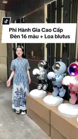 Decor ngôi nhà thân yêu với những mẫu phi cao cấp cùng e #shindecor #phihanhgia #new2023 