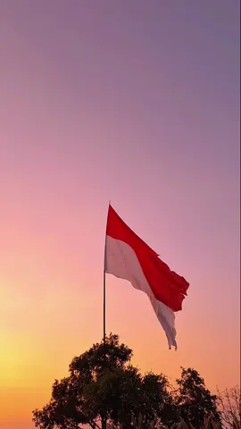 Terus berkibar dengan gagah bendera merah putihku. #indonesiapusaka #benderamerahputih #indonesiamerdeka🇮🇩💪 #hutri78indonesia #serunya17an 
