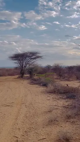 Booom🚨🚨🔥🔥