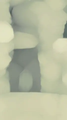 #دريد #السعودية #الشعب_الصيني_ماله_حل😂😂 