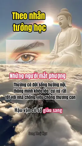 Bạn có tướng mắt nào ?  #songthuyngu #xemtuong #nhantuong #tuongso #tuvi 