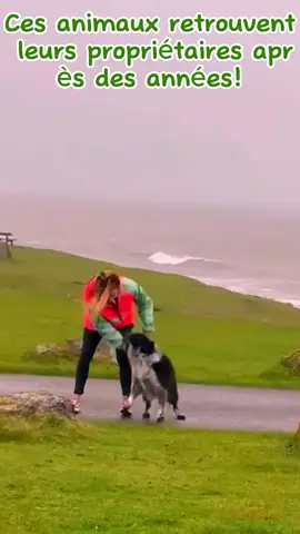 Ces animaux ont retrouvé leurs propriétaires après des années! #satisfying #satisfyingpost #satisfyingvideo #fyp