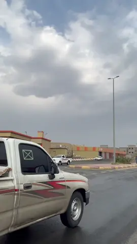 #اكسبلورexplore #سحليات✈ #تغبيرة_مطر #هايلكس99 #سنابي_بالبايو_تنوروني 🖤.