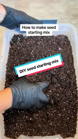 The first round of sowing fall seeds started. I knew I could wait another week for Brassica, but I decided to do it all at once since I started my celery.  Today I am sharing how I make the seed start mix. It is similar to the prior one in spring, except this time, I am adding soil bacteria from @petratools to the mix. And I was run out of vermiculite, so I didn’t use it this time. Basically, I don’t have to exact how much I use for this mix. 1 block of organic coconut coir Warm water mixed with azomite, soil bacteria, and worm tea.  Perlite  Worm castings.  Then added water as need it. Mix all of them, and there you have the seed starting mix.  Additional info ✅Soil bacteria helps improves beneficial bacteria in the soil, making minerals, nutrients, and elements readily available for feeding. ✅Worm tea: good for building soil by adding beneficial bacteria that slowly release nutrients to help the plants grow. ✅Azomite can improve root systems and yield; it is good for blending into the soil. I used to amend the soil, seed starting mix, and potting up plants. ✅Perlite, Perlite helps with drainage and improves soil aeration. Have you started your fall garden yet?  #gardening #sowingseeds #fallgarden #backyardgardening #backyardgardeners #planting 
