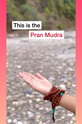 📌Hakini mudra is a sacred hand gesture or “seal,” used during yoga and meditation practice as a means of channeling the flow of vital life force energy known as prana. Named after the Hindu Goddess Hakini, this mudra is one of the most widely used, particularly during meditation practice. . 📌shakti mudra is capable of curing insomnia by calming and relaxing the individual who practices it. In addition, it is thought that this hand gesture relaxes the pelvic area, offering relief to those with intestinal or menstrual discomfort. . 📌Añjali Mudrā, is a hand gesture mainly associated with Indian religions and arts, encountered throughout Asia and beyond. It is a part of Indian classical dance postures such as Bharatanatyam, yoga practice, and forms part of the greeting Namaste. . 📌Gyan mudra or Jnana mudra is a Yoga mudra that has been practised since ancient times. It is a hand posture formed by joining the tips of the index finger and thumb. It is mudra of intuitive wisdom and knowledge. It has many benefits for the nervous system and endocrine systems. . 📌 Varun mudra is a hand mudra that promotes the water content in the body. It’s formed by joining the pinky fingertip to the thumb tip while keeping the rest three fingers straight. Varun mudra is also called ‘Jal Vardhak Mudra’ in Sanskrit, which literally means “water enhancer mudra”. . 📌Vayu Mudra:-The literal meaning of the word Vayu is wind or air. Vayu Mudra is a hand gesture that regulates the air element present in the body. It is believed to remove the excess harmful air produced due to waste material in the body, especially in the intestines. . . 📌Mudra Duration:- You can do vayu mudra while doing pranayama or even while walking. Now, press the tip of your index finger on the base of your thumb, and press your thumb gently over the index finger. Keep the other fingers straight. You can do vayu mudra 2-3 times for 10-15 minutes, and you can do up to 45 minutes daily. . .  #Hasthamudras #mudras #mudra #yogalifestyle #motivational #meditation #viralreels #instagram #Gyan #sprituality #focus #power #yogamotivation #vayumudra #anjalimudra #shakthimudra  #hakinimudra #pranmudra