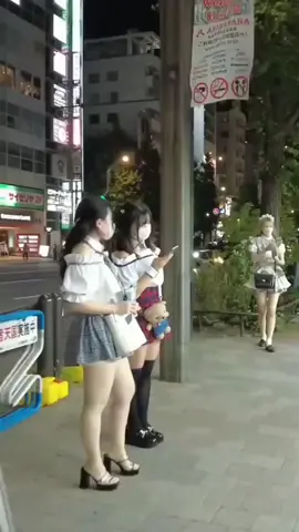 Mbaknya lagi nawarin apa ya🤭#japan #tokyo #wibu #anime #fypシ #kenshuseijapan🇮🇩🇯🇵🎌 