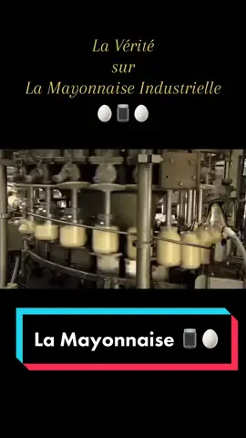 La Mayonnaise #usine#industrie#industriel#agroalimentaire#mayo#mayonnaise#aliment#food#nourriture#verite#alimentation 