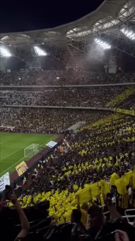 والعاشقين في كل دار ، عالي عالي يالإتحاد .💛🖤🔥#الإتحاد #جمهور_الاتحاد #جمهور_الذهب #العميد #الاتحاد #المدرج_الذهبي #النمور #اكسبلور #tiktokarab #foryou 