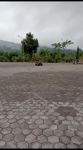 gasss pollll...