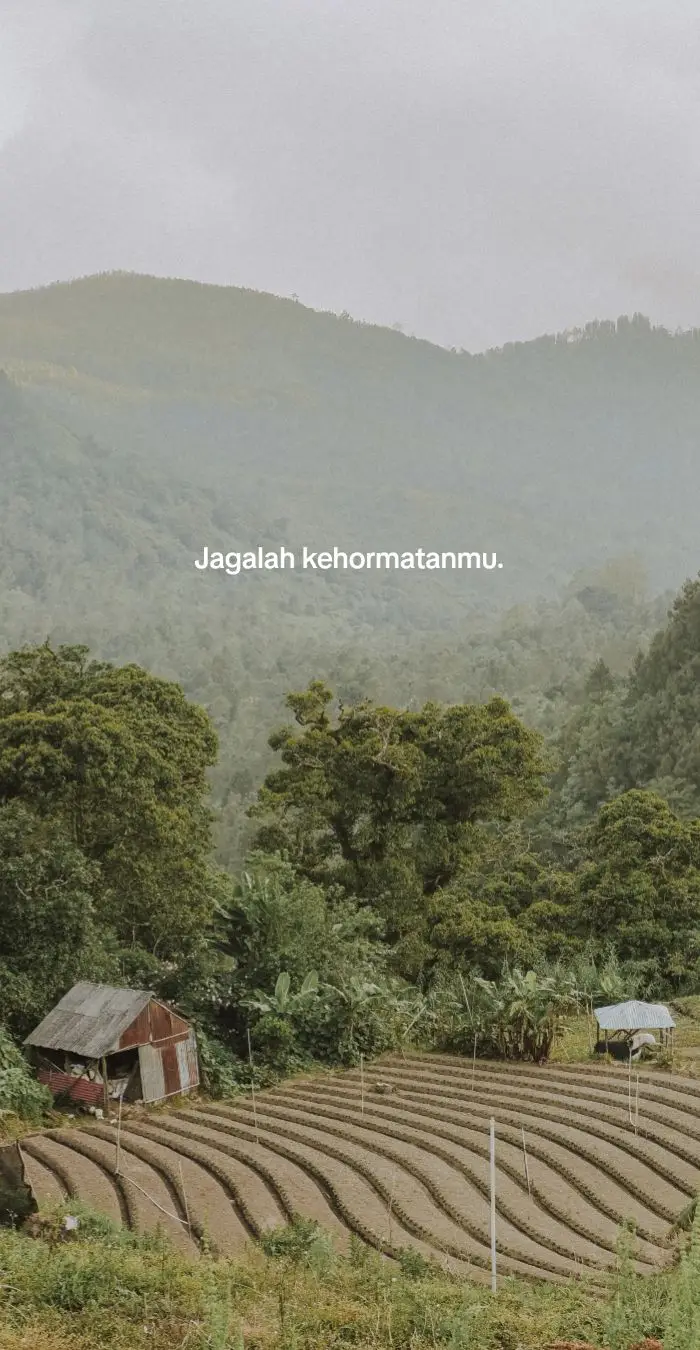 Dalam Tafsir Marah Labid Surah Al-Baqarah [2] ayat 216 bermakna hanya Allah swt Yang Maha Mengetahui apa yang baik dan apa yang buruk, sedangkan manusia tidak mengetahuinya secara pasti.  Oleh karena itu, tanpa pengetahuan yang pasti seseorang tidak boleh memaksakan pendapat pribadi, terutama berkaitan dengan ketentuan Allah. Yang seharusnya terjadi adalah ia melaksanakan ketentuan tersebut sesuai dengan tuntunan-Nya. #quotesislami #istiqomah #selfreminder #fypシ #islamicreminder 