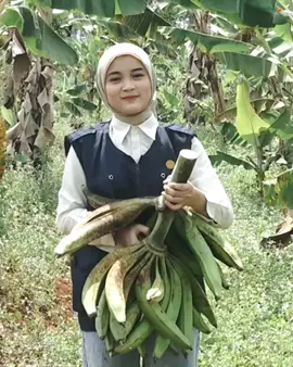kisah inspirasi petani pisang