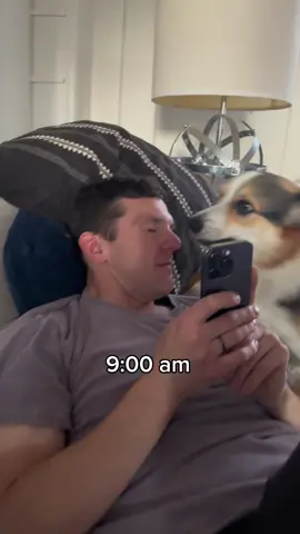 Struggles of working from home with a velcro corg… #cuddlydog #dogdad #corgi #corgicuddles #cuddly 