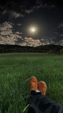 “✨🌙 Embracing the Magic of Moonlit Mountains 🏔️✨ #MoonlightNight 🎥 Ig @lovethenature95 #MountainVibes #NatureLovers #StarrySkies #AdventureAwaits”