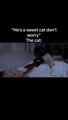 #catsoftiktok #catowner #cats #meow #scarymovie #scarymovie2 #scarymovies #movieclips #movieclips🎬 #funny #catproblems #annafaris #cindy #brendascarymovie #fyp #fypシ゚viral #funny #fypage #catoftiktok #friendly #meme #vibe #moviescene 