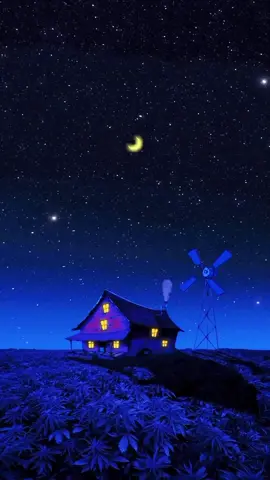 Chill Night 🌙✨ (short version) Rate art   #cartoonnetwork #cartoonstyle #pinkaesthetics #lofivibe #cartoonartist #lofiaesthetic #spaceart #chillvibe #illustrationartwork #animeartstyle #lofianime #motiongraphic #lofichill