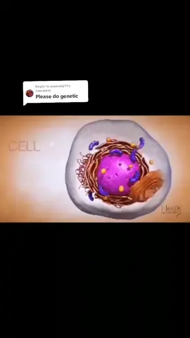 Replying to @ammanjr11 Genetics The study of 🧬 gene 💥🧬 #biologystudents #facts #toppers #education #sciencelovers❣️ #viral #animation 