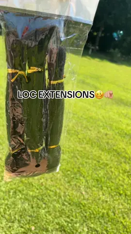 6-18 Inch Loc Extensions Human Hair Dreadlock Extensions  Can Be Dyed Bleached Curled Full Handmade Permanent (6 Inch-30Strands, 0.6CM Width-1B)  Link in bio‼️ #viral 