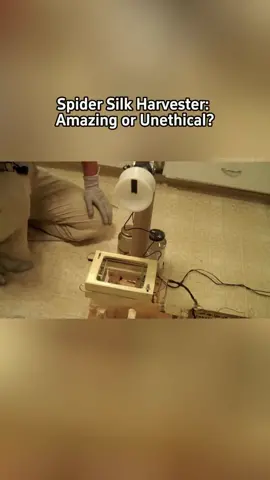 Automated Spider Silk Harvester: Amazing or Unethical? #Spider #Spiderman #SpiderSilk #AnimalProtection #AnimalRights #Unethical #Invention #controversy 